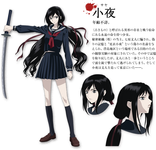 Archivo:Ch01g.png