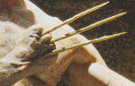 Bone Claws