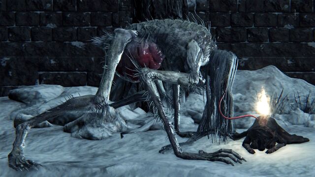 File:Bloodborne™ 20151019170901.jpg