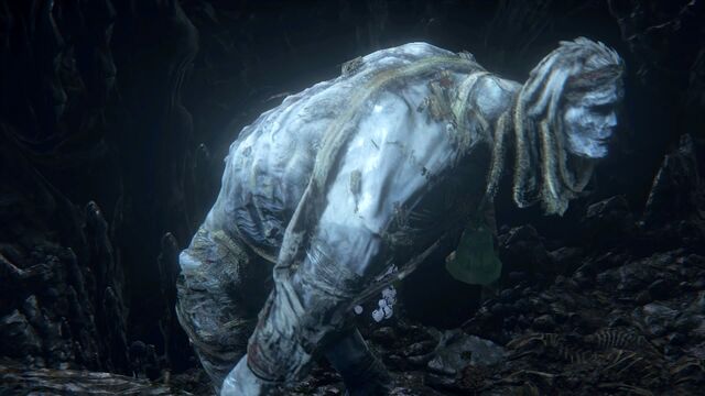 File:Bloodborne™ 20151014173130.jpg