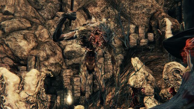 File:Bloodborne™ 20150511200447.jpg