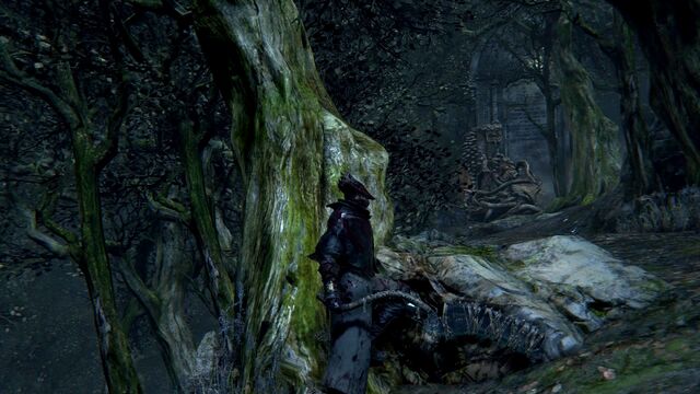 File:Bloodborne™ 20151013224122.jpg