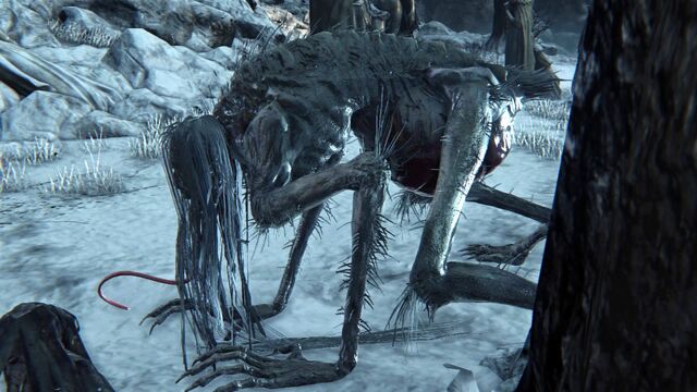 File:Bloodborne™ 20151019171213.jpg