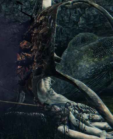 File:Bloodborne™ 20150513231618.png