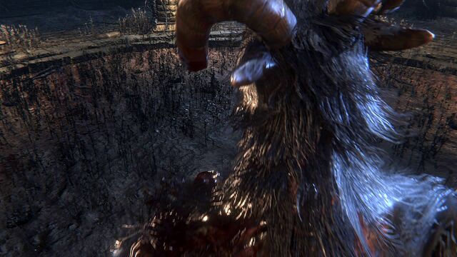 File:Bloodborne™ 20151015124018.jpg