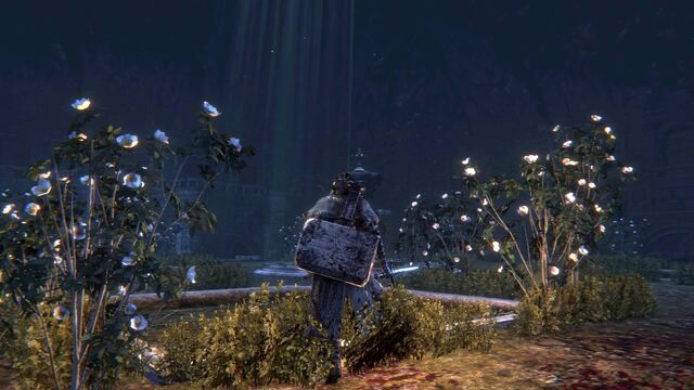 File:Bloodborne™ 20151015112258.jpg