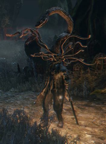 File:Bloodborne™ 20150518185644.png