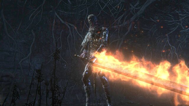File:Bloodborne™ 20150517214748 - 1.jpg