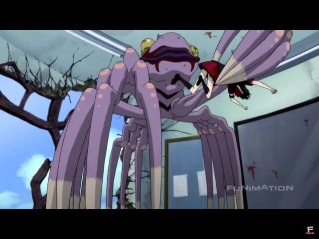 File:Spider .jpg
