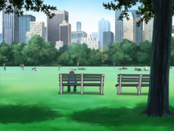 Central park2