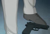 Van with gun