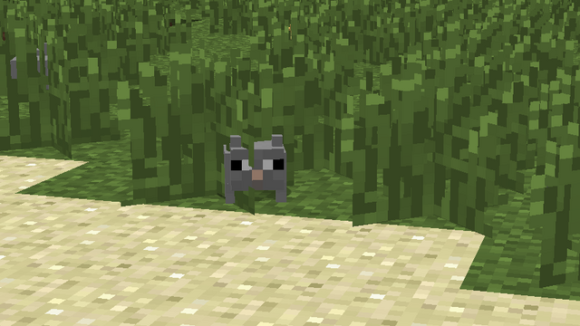 File:2013-01-03 14.50.34.png