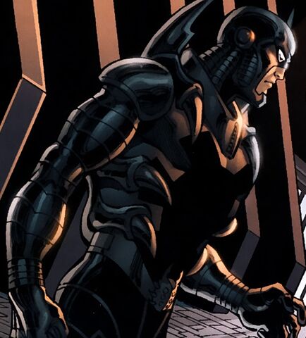 File:Black Beetle.jpg