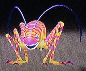 Ancient Katydid