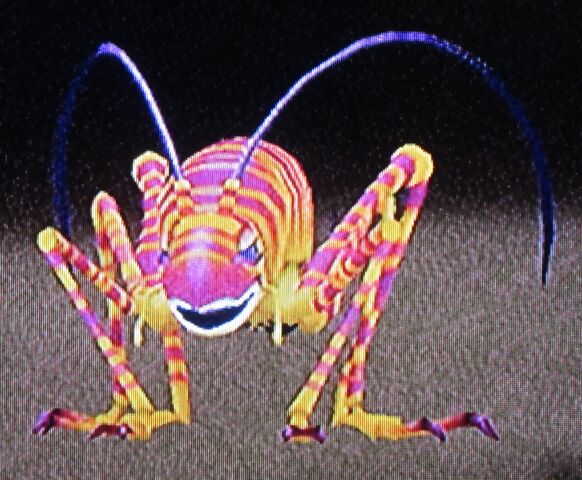 File:Ancient Katydid.jpg