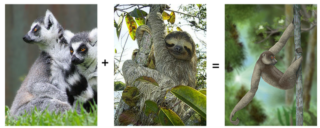 File:Lemur Sloth.png