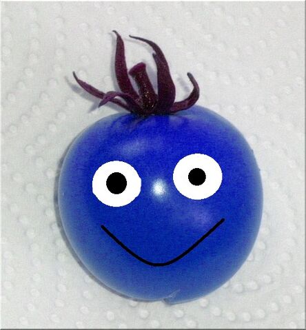 File:Blue Tomato.jpg