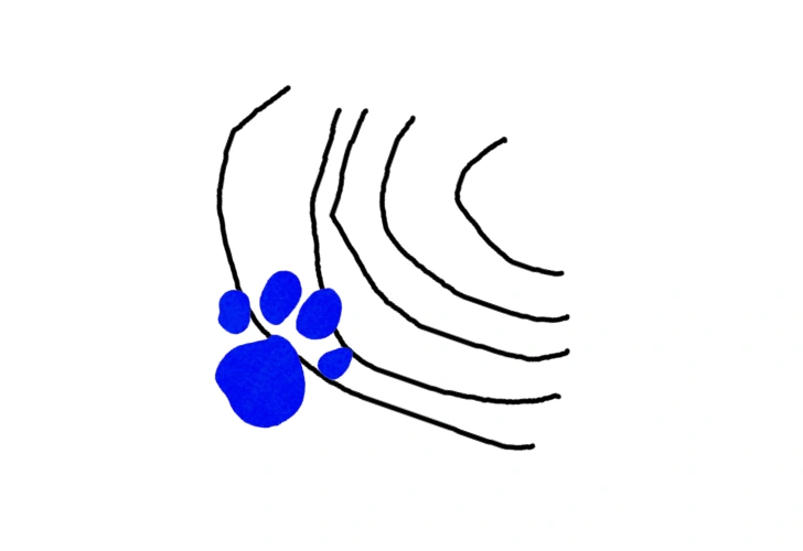 Image - This Sound (3rd Blue's Clues).png | Blue's Clues Fanon Wiki ...