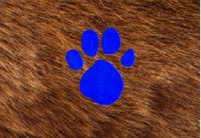 File:Fur (2nd Blue's Clues).png