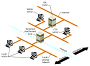 100 Subnet