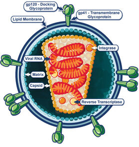 HIVvirionSml