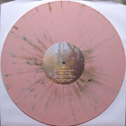 Bmsr dg vinyl 1