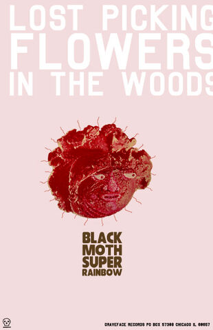 File:Bsmr promo poster.jpg