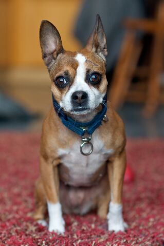 File:Maeby13.jpg