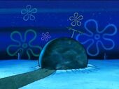 Patricio noche.jpg