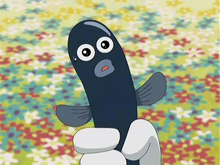 Eel
