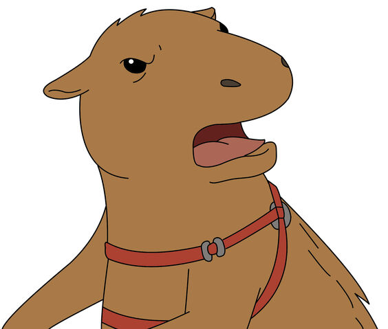 File:Kiki.jpg