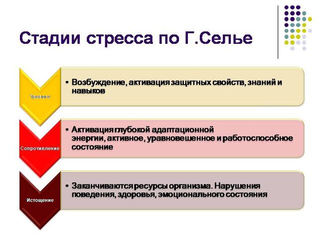 Файл:14726-img 5.jpg