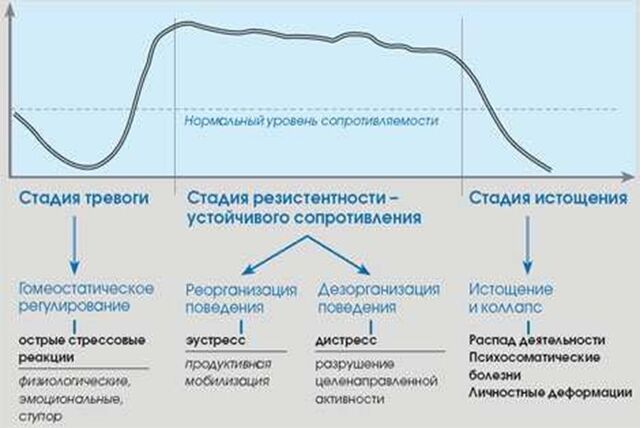 Файл:ОАС.jpg