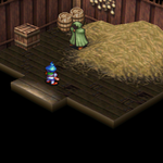Farm5