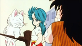 Karin, Yaji i Bulma.png