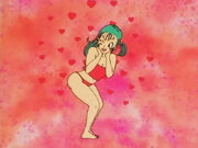 Bulma atractiva.jpg
