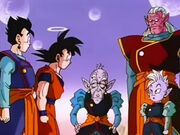 Vell Kaioshin, Kibito, Kaioshin, Goku i Gohan.jpg