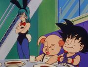 Bulma conillet.jpg