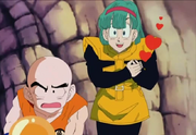 Bulma atreta.png