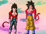 Goku i Vegeta SG4.png