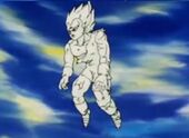 Vegeta pedra.jpg