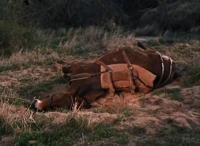 File:040 - The Crucible.png