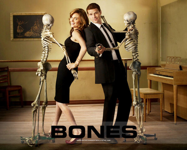 Fichier:Bones.jpg