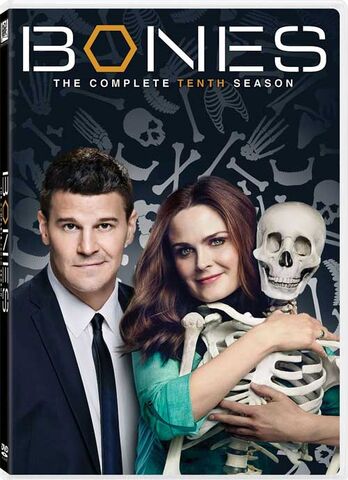 Файл:Bones S10 DVD e.jpg
