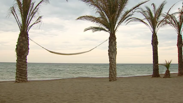 File:012 Hammock.png