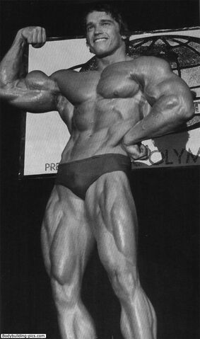 File:Arnold Swolezenegger.jpg