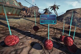 Ye Scurvy Dogs Borderlands Ye Scurvy Dogs Borderlands
