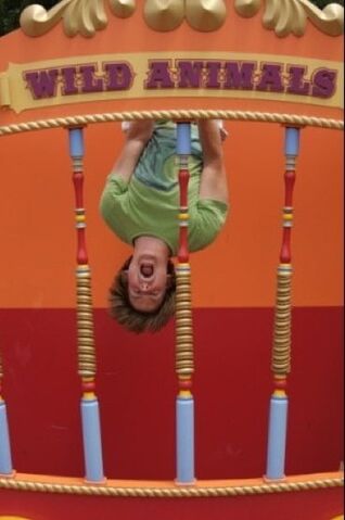 File:Wild animal.jpg