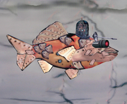 Real-c'fish