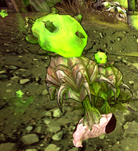 Necrophage